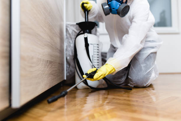 Pest Prevention Services in Bridgewater Center, NJ