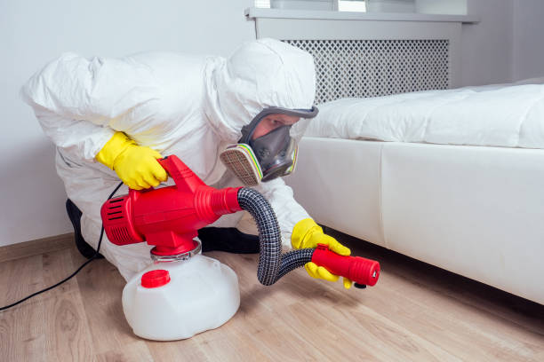 Best Mosquito Control Services  in Bridgewater Center, NJ