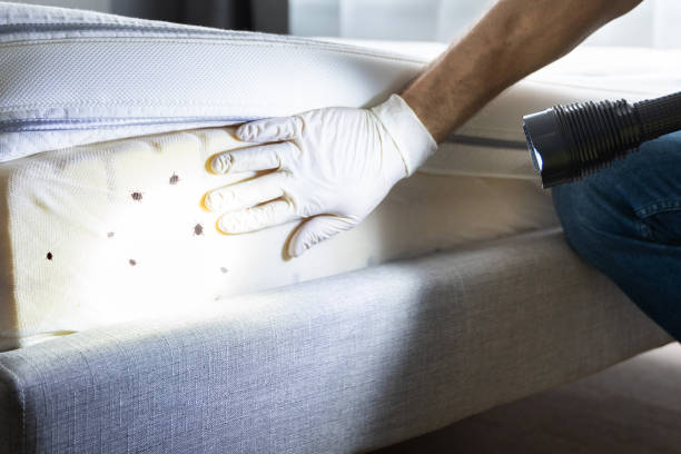 Best Pest Prevention Services  in Bridgewater Center, NJ