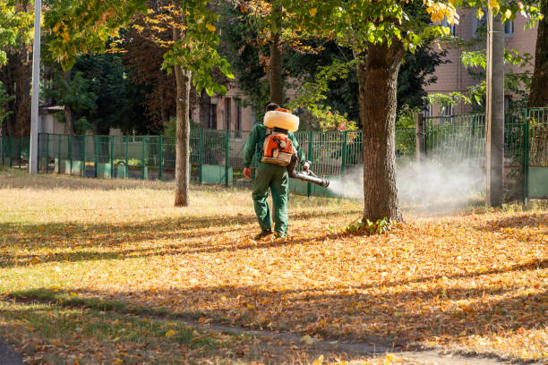 Best Affordable Pest Control Services  in Bridgewater Center, NJ