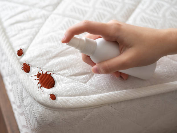 Best Commercial Pest Control Services  in Bridgewater Center, NJ