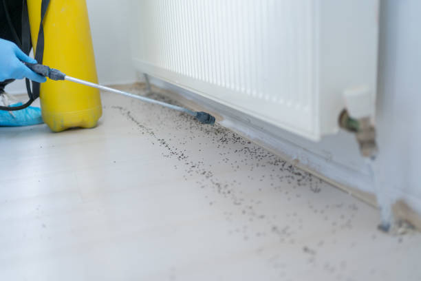 Best Best Pest Control Companies  in Bridgewater Center, NJ